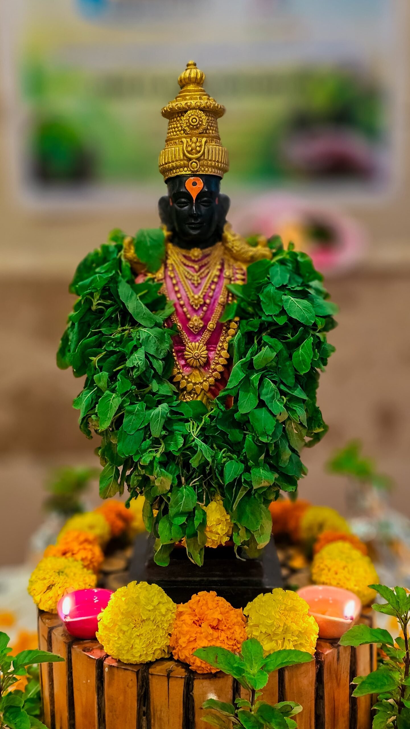 WhatsApp Image 2025-11-01 at 3.37.34 PM